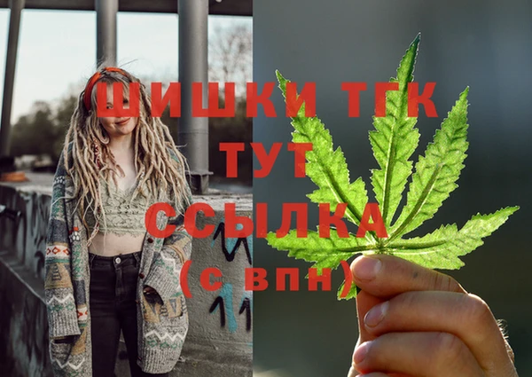 гашик Протвино