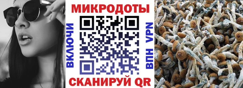 Галлюциногенные грибы GOLDEN TEACHER  Омутнинск 