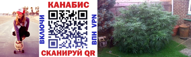 ОМГ ОМГ tor Омутнинск МАРИХУАНА Bruce Banner